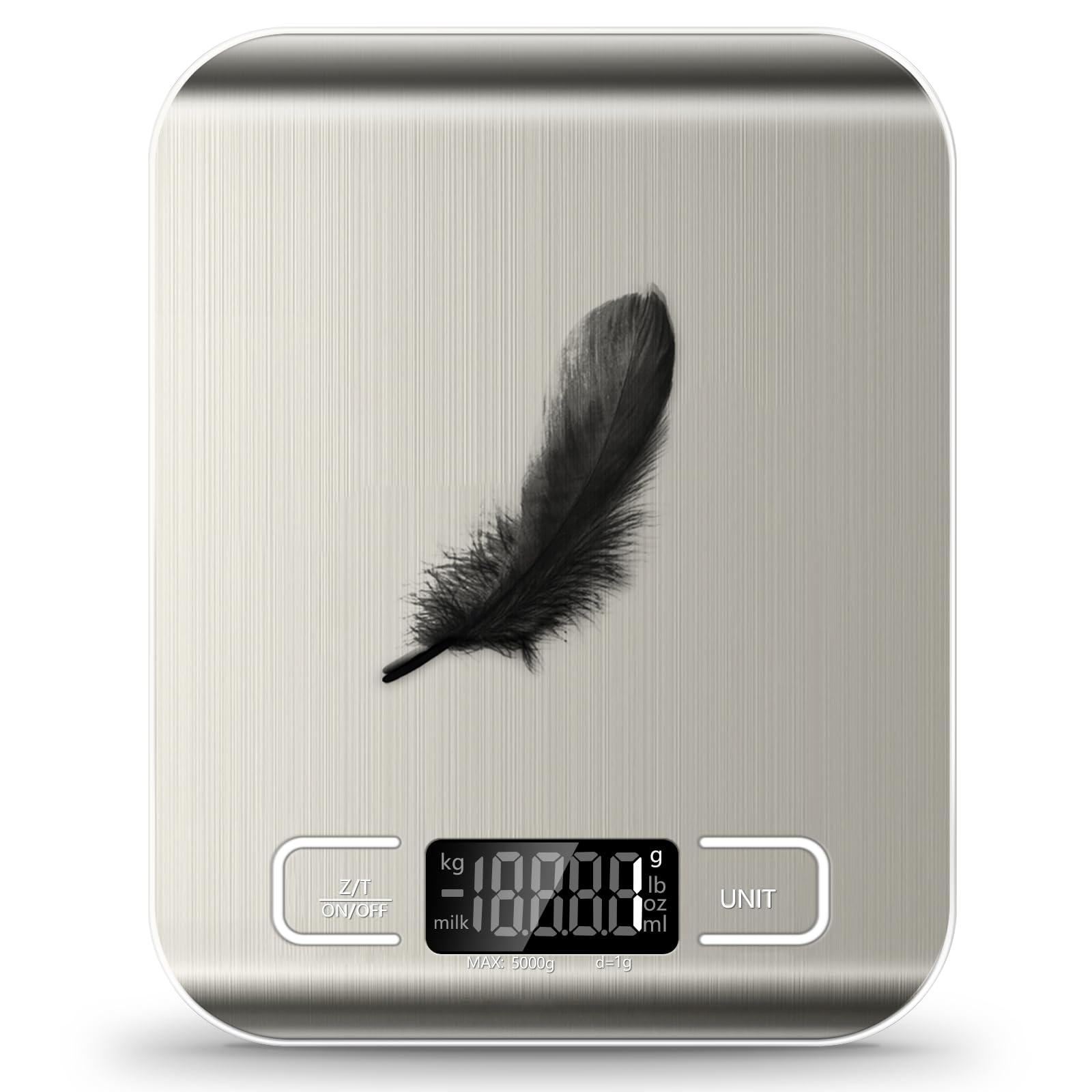 Food Scale